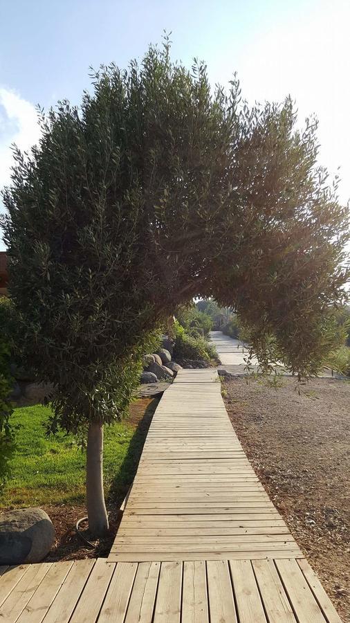 Villa Berale Kefar Kish Exterior foto